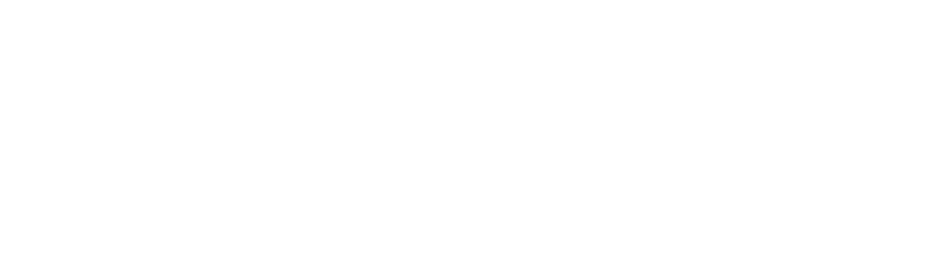 Karin Hendriks – Energetikerin